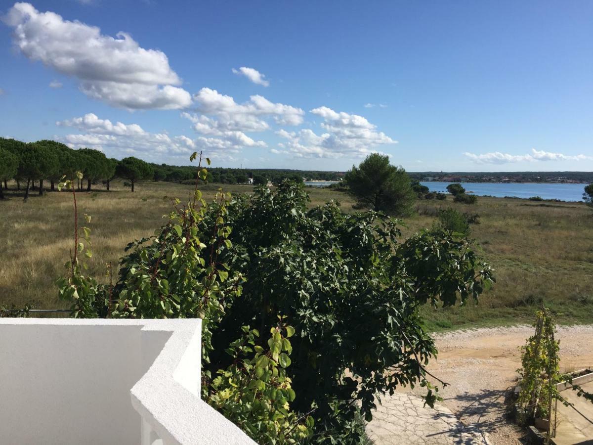 Marija Apartment Nin Dış mekan fotoğraf