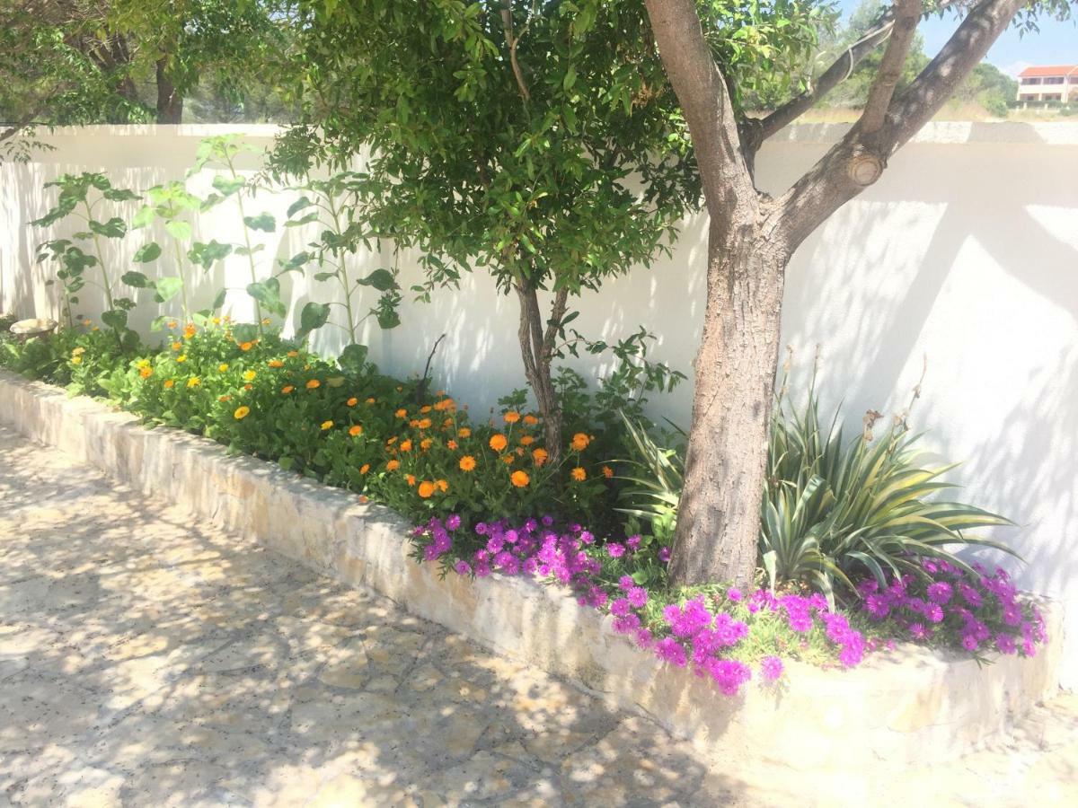Marija Apartment Nin Dış mekan fotoğraf
